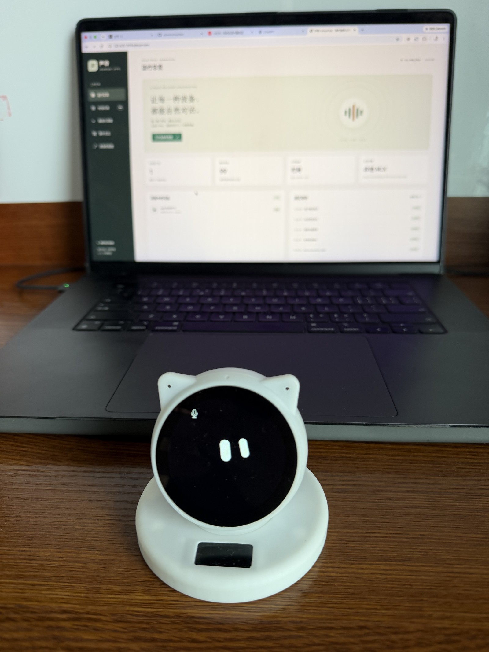 喵伴实机与 VoiceHub 控制台
